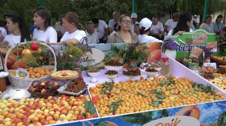 Өрік Fest-2026: как главный бренд Уйгурского района покоряет международные рынки