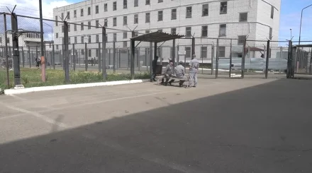 Домашние тираны не подпадут под уголовную амнистию в Казахстане