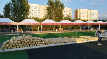 В Алматы пройдет сельскохозяйственная ярмарка производителей Таджикистана