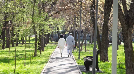 Түркістандағы Қарашық өзенінің жағасында жаңа эко саябақ ашылды