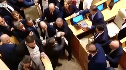 Депутаты подрались на последнем заседании парламента Грузии