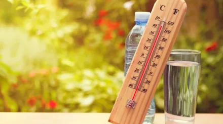 Аномальная жара во Франции перегрузила похоронные службы