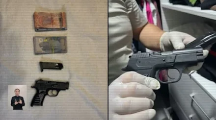 Элитные сорта каннабиса выращивали для VIP-клиентов в подпольной лаборатории под Алматы (ВИДЕО)