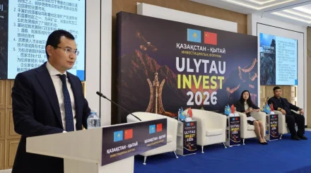 Свыше $360 млн инвестируют китайские компании в область Улытау