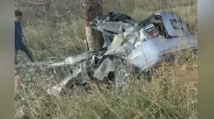 Пять девочек из одной семьи погибли в страшном ДТП в Туркестанской области