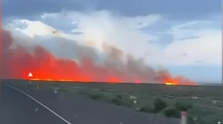 Сухая трава и камыш горят в области Абай
