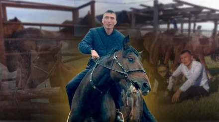 Как казахская семья из Омска хранит древнее ремесло изготовления кумыса: доим три раза за ночь