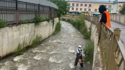 Ситуация в Наурызбайском районе находится под контролем