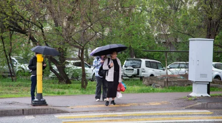 2 шілдеде Қазақстанның басым бөлігінде жаңбыр жауады
