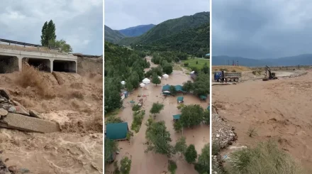 Подъем воды в реке Тургень: в Алматинской области эвакуировали 58 человек