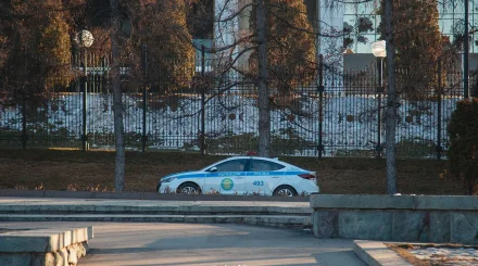 Алматыда шетел азаматына шабуыл жасаған ер адам қамауға алынды