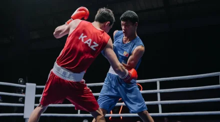  Екі қазақстандық боксшы Азия чемпионатының ширек финалына өтті 