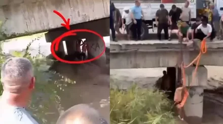 Бурная река отрезала подростков от берега под мостом: их спасение сняли на видео в области Жетысу