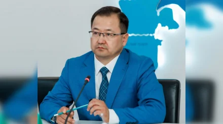Конституционные принципы как стандарт публичного управления