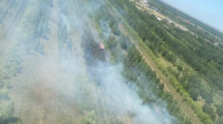 Сразу пять лесных пожаров вспыхнули в Казахстане за сутки