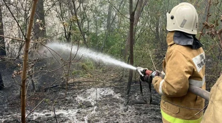 Аптап ыстықтан еліміздегі 5 орман өртенді