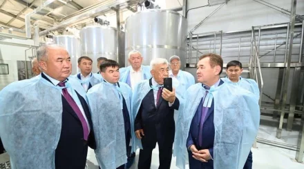 Қызылорда облысында жоғары сұрыпты ас тұзы өндірілмек