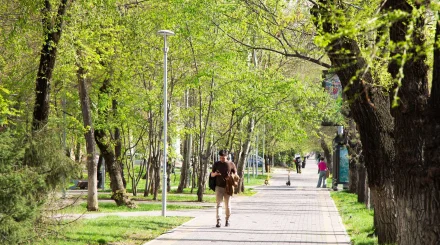 Қазақстанның кей өңірінде +45 градусқа дейін ыстық болады