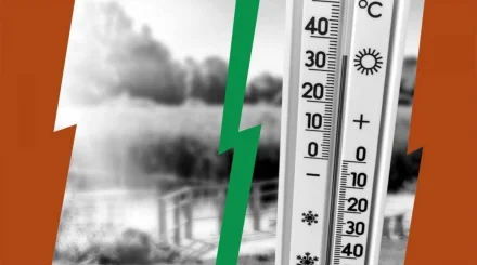 Из-за жары за неделю погибли более 10 тысяч человек в Европе
