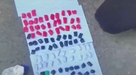 ІІМ: Шілденің алғашқы онкүндігінде 120 келіден астам синтетикалық есірткі тәркіленді