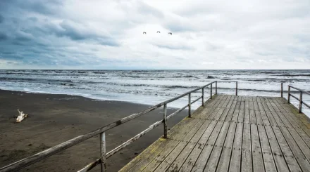 Ученые бьют тревогу: уровень Каспийского моря снижается