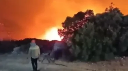 Больше тысячи человек эвакуировали из-за масштабных лесных пожаров в Турции (ВИДЕО)