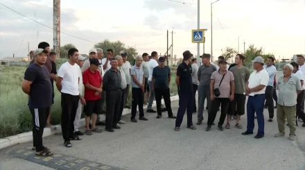 Алматы облысында 500-ден астам тұрғын сібір жарасы көміндісіне байланысты үйлерін заңдастыра алмай жүр
