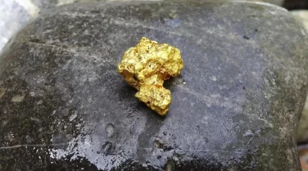 Қазақстанда алтынды жасырын өңдеп келген цех анықталды