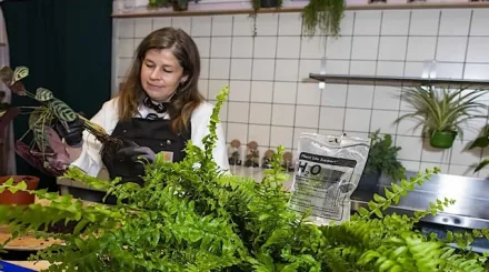 Бөлме гүлдерінің де ауруханасы бар: Шотландияда өсімдіктерді «емдейтін» ерекше орталық ашылды