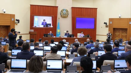 Насколько работа Курултая соответствует мировому опыту: Мнение эксперта