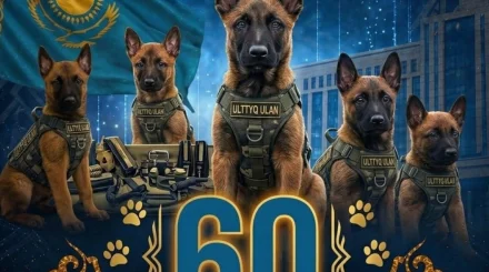  Ұлттық ұланның кинология орталығында соңғы екі жылда 60 күшік өсірілді 