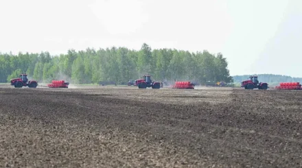  Павлодар облысында 18 миллион теңгенің ауыл шаруашылығы жері мемлекетке қайтарылды 