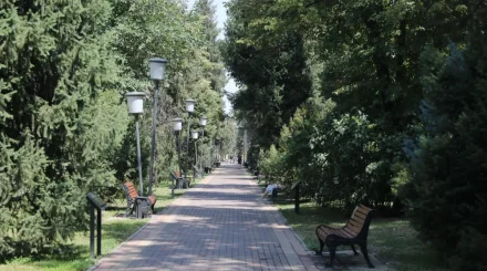 Более 14 км сетей автополива проложили на улицах Жамбыла и Тулебаева в Алматы