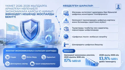 Көлеңкелі экономикамен күрес: Үкімет 53 іс-шараны қамтитын жоспарды бекітті