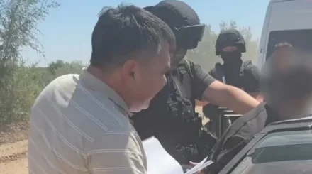 Павлодар облысында мал ұрлығымен айналысқан топ ұсталды (ВИДЕО)