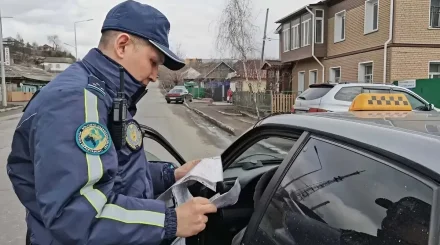 Водителей старше 65 лет могут оставить без прав с 25 августа