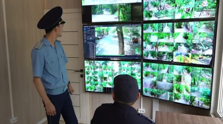 Заң мен тәртіп: Алматыдағы Баум тоғайында қоғамдық қауіпсіздік күшейтілді