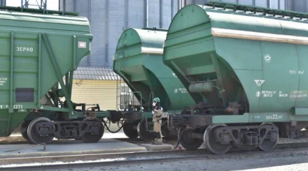   13,5 миллион тонна астық пен ұн экспортталды   