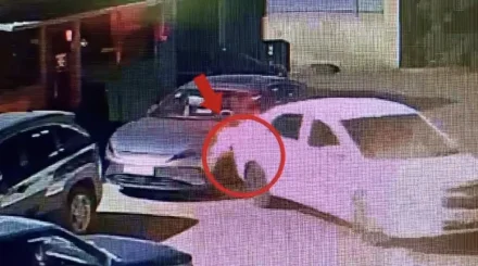 Бөтен көлікті соғып кеткен елордалық жүргізуші бір айға қамалды
