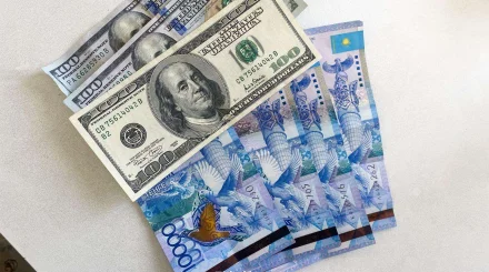 Официальный курс валют на 24 июля: доллар подешевел