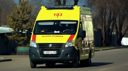 Солтүстік Қазақстанда медицина қызметкеріне күш көрсеткен ер адам сотталды