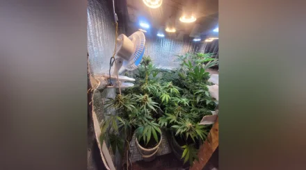 Синтетическая угроза
