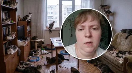 «Отлов» за закрытой дверью: как трагедия в Конаеве показала изнанку новых правил для животных