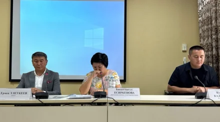 «Чат рулетка» шырғалаңы: Қызбен танысқан екі жігіт 15 жылға сотталды