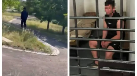 «Пытался изнасиловать»: на астанчанку напали в парке средь бела дня