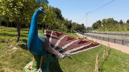 Жара не отступает: 31 июля в Алматы столбики термометров покажут +36