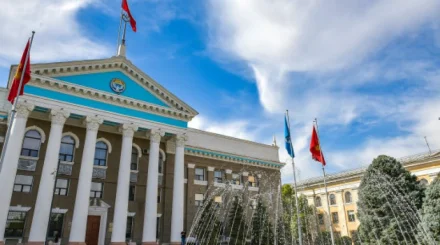 Выборы президента по-новому проведут у соседей Казахстана
