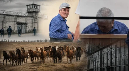 33 жыл еңбек еткен малшыны «100 жылқы жымқырды» деп соттаған: ер адам сот залынан босатылды