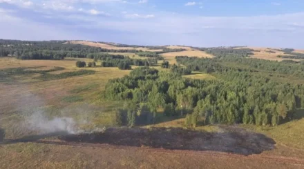 Семь лесных пожаров произошло в Казахстане за один день