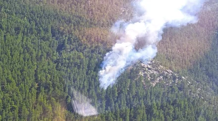 В нацпарках Казахстана вспыхнули лесные пожары